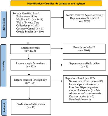 Skin regeneration-related mechanisms of Calcium Hydroxylapatite (CaHA): a systematic review